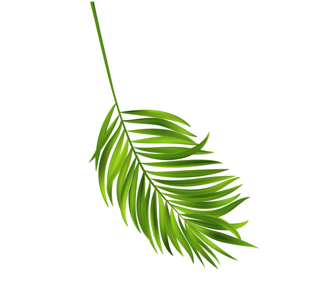 Decorative Background Leaf