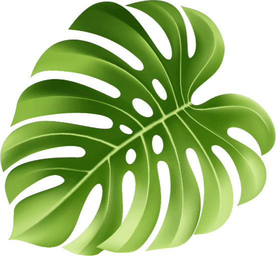 Decorative Background Leaf