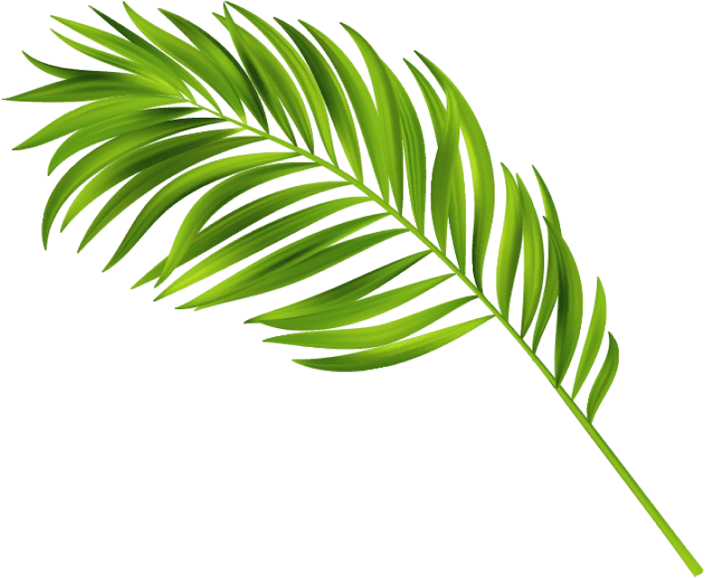 Decorative Background Leaf